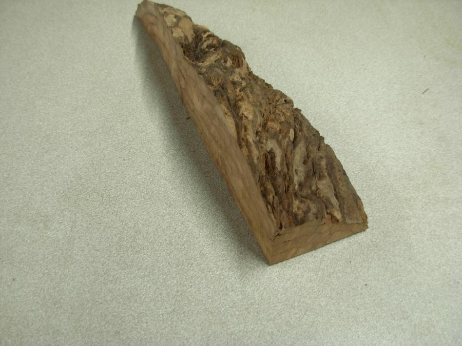 Maple Burl Pen and Pencil Holder