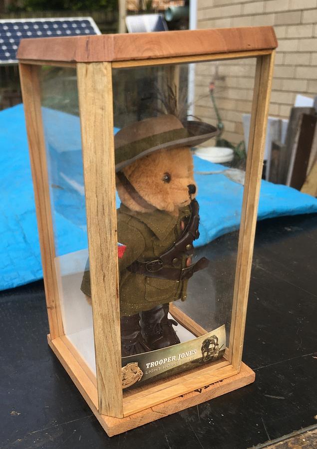 Australian Light Horse Regiment