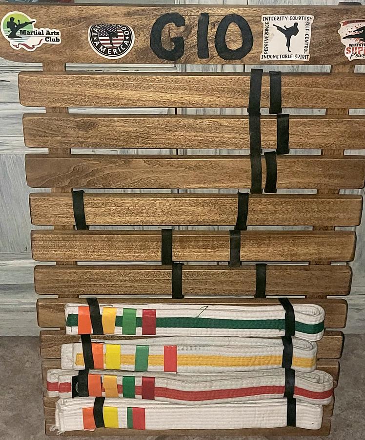 Gio's Martial Arts Belt Display