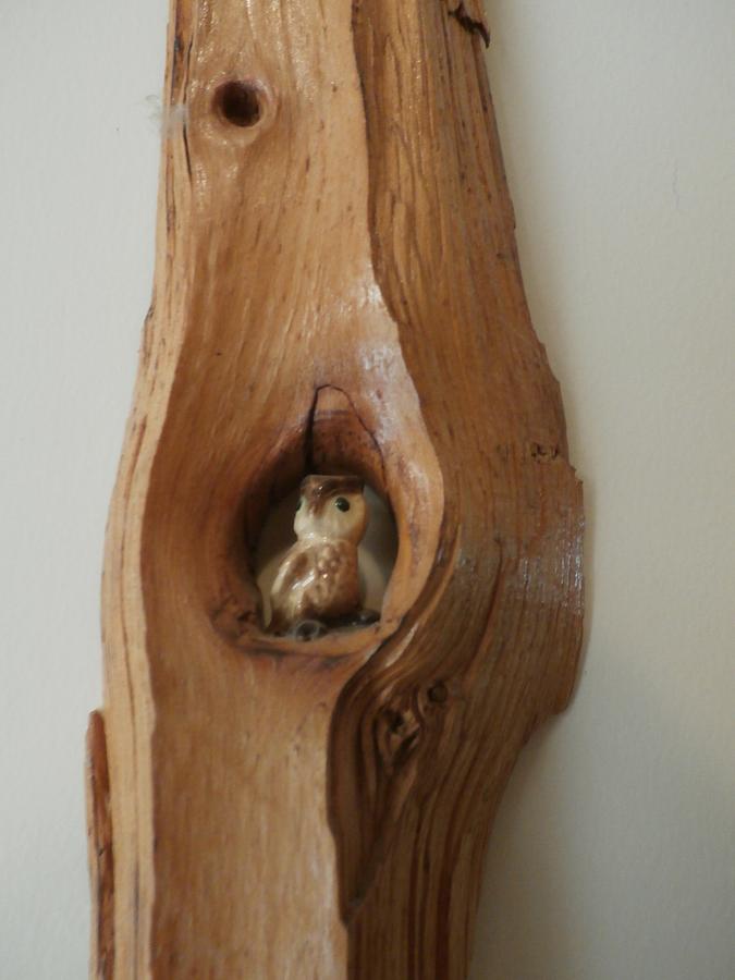 Owl on the wall piece