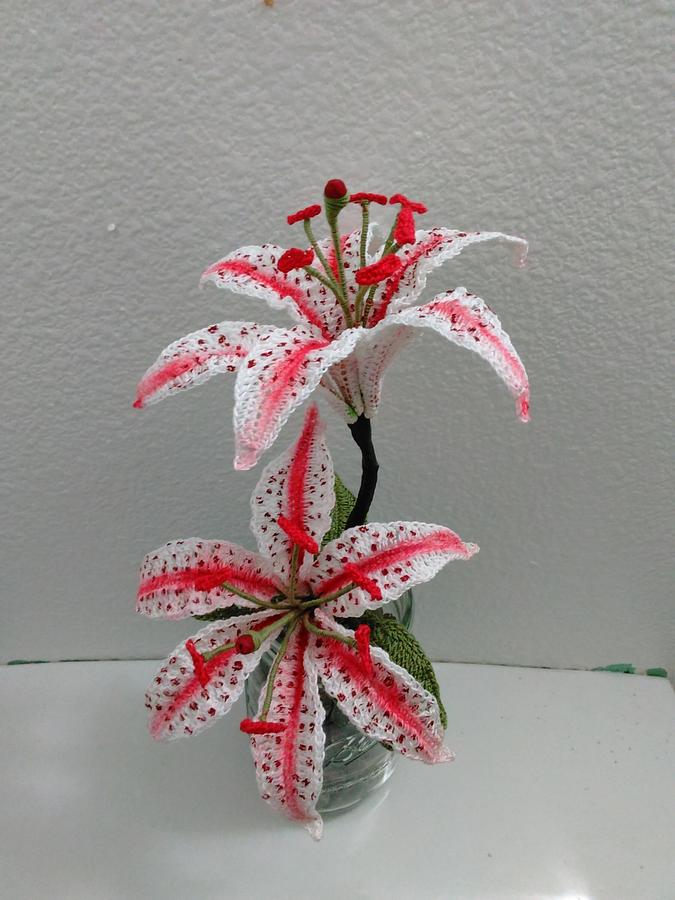 Candy Cane Oriental Lily Flower Pattern