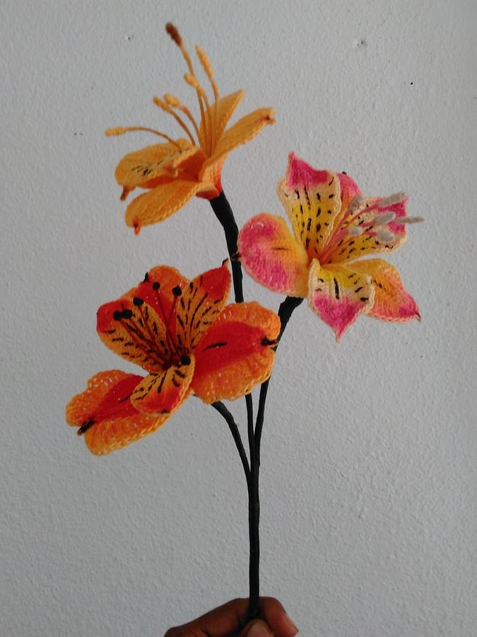 Peruvian Lily