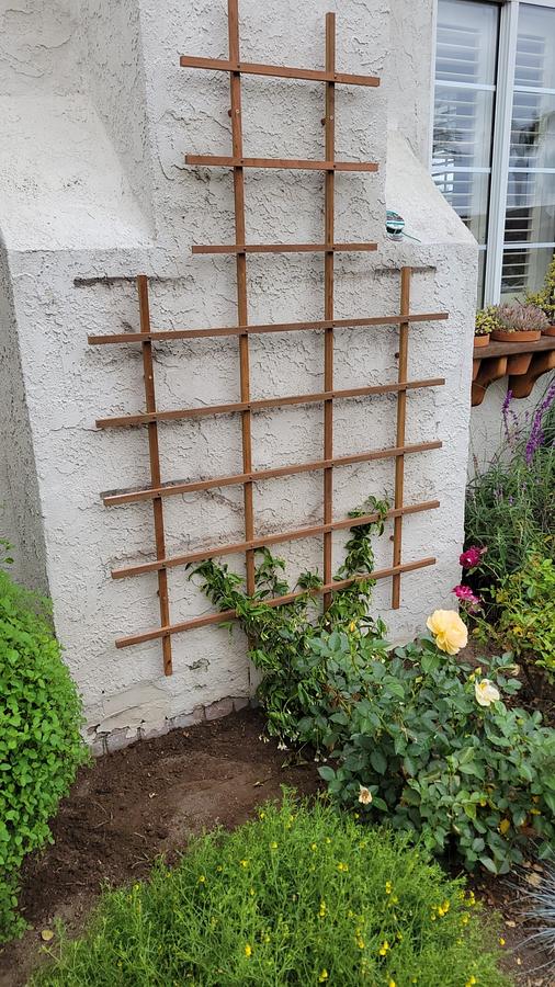 Garden trellis