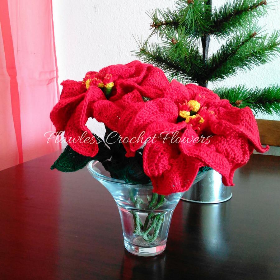 Crochet Poinsettia Harlequin