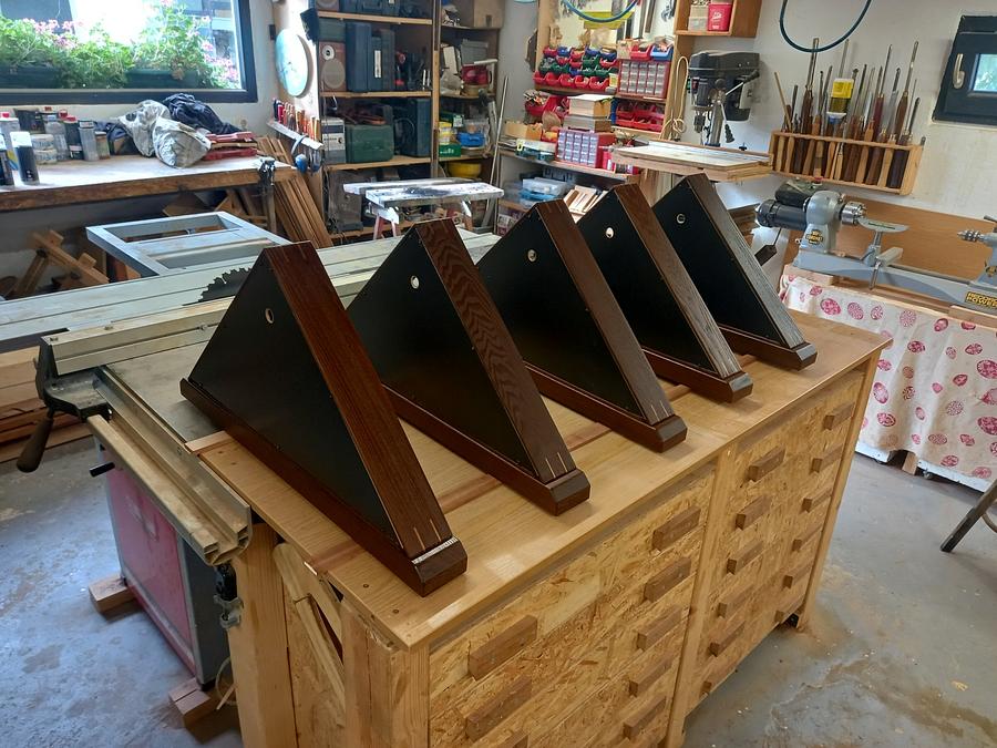 FLAG CASES