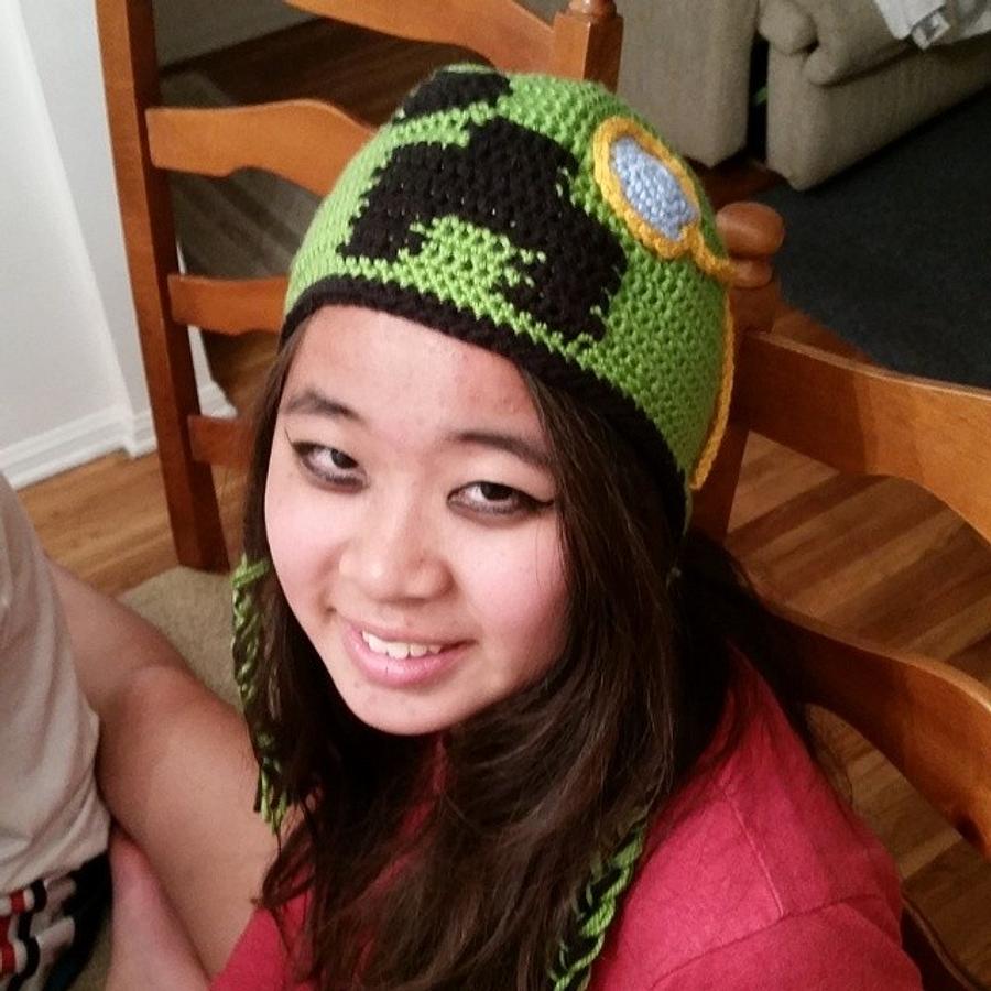 Special Minecraft beanie