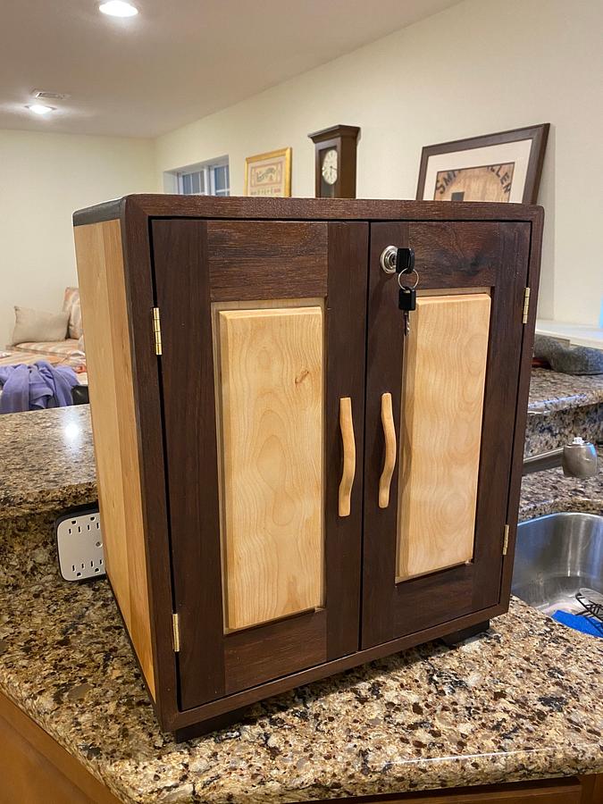 Hand Gun Cabinet