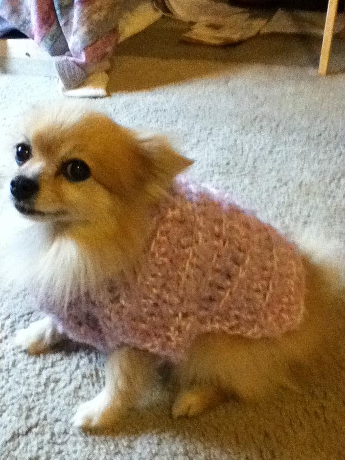 Bentridge Crafts  -A Doggie sweater for a darling doggie