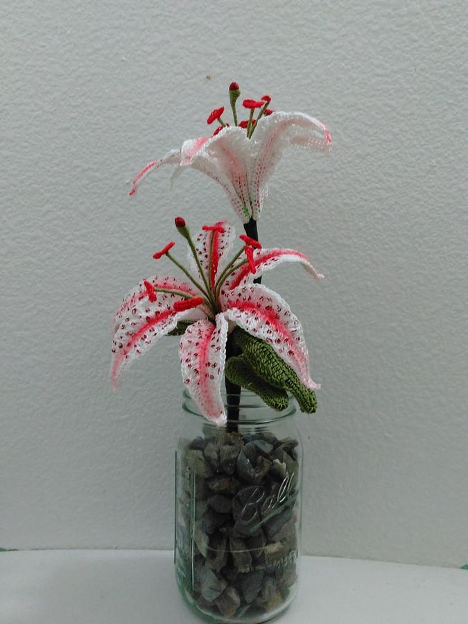 Candy Cane Oriental Lily Flower Pattern