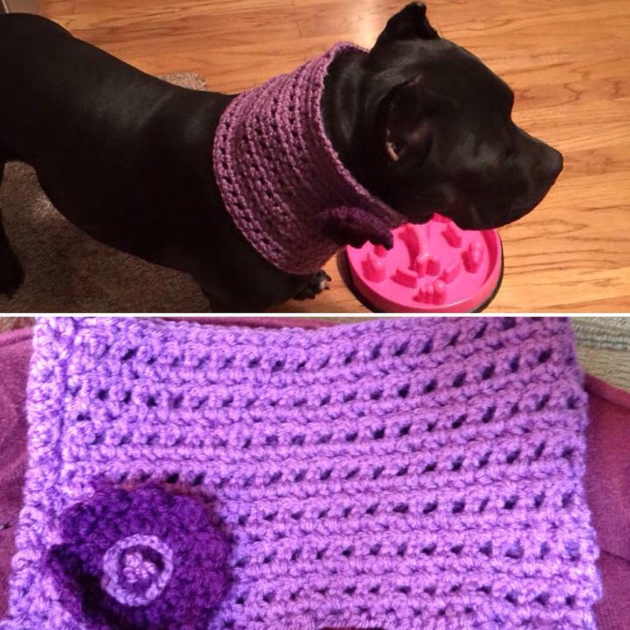 Custom dog cowl....a request from a friend