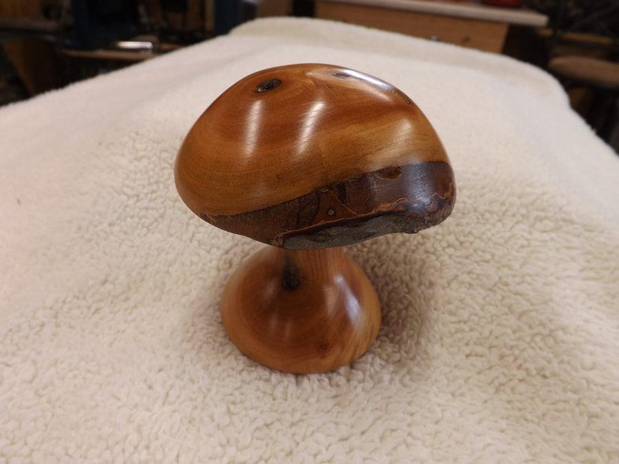1st Lathe Mushroom