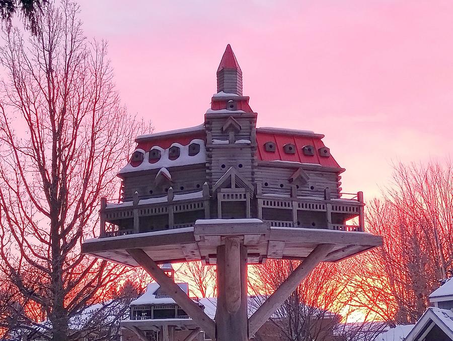 Extreme Birdhouses! Winter Time in Belgrave!