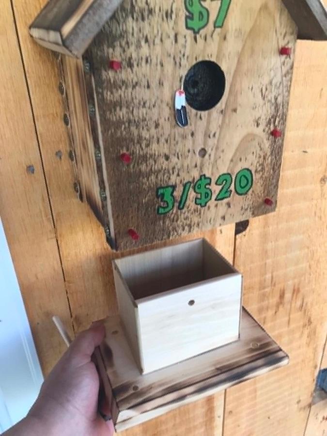 Birdhouse Money Box