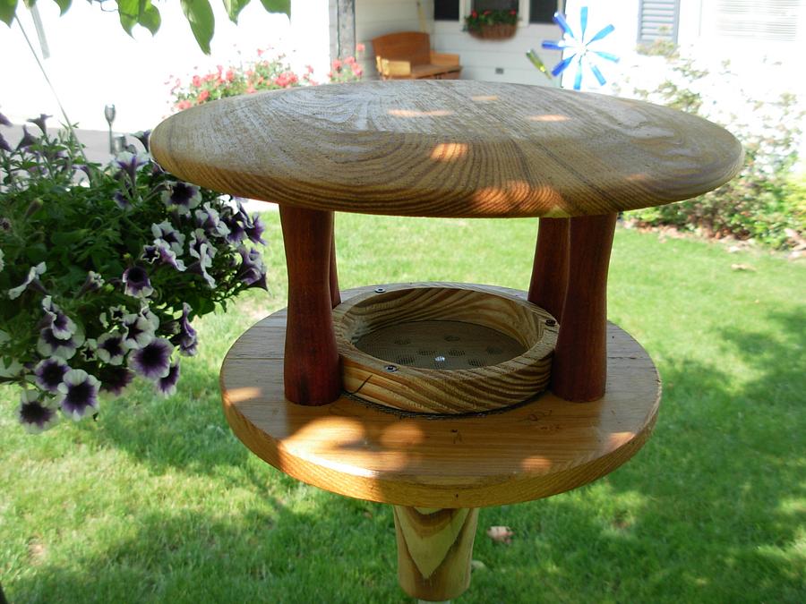 Bird Feeder