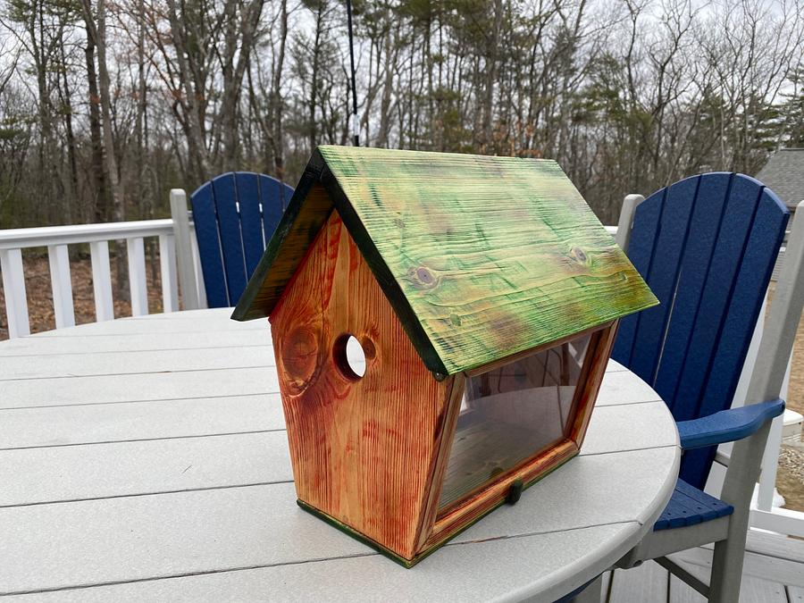 Mealworm Bird Feeder in Pine