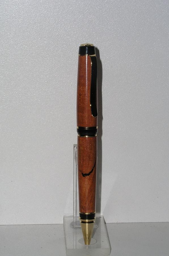 Chrysalis of a Pen