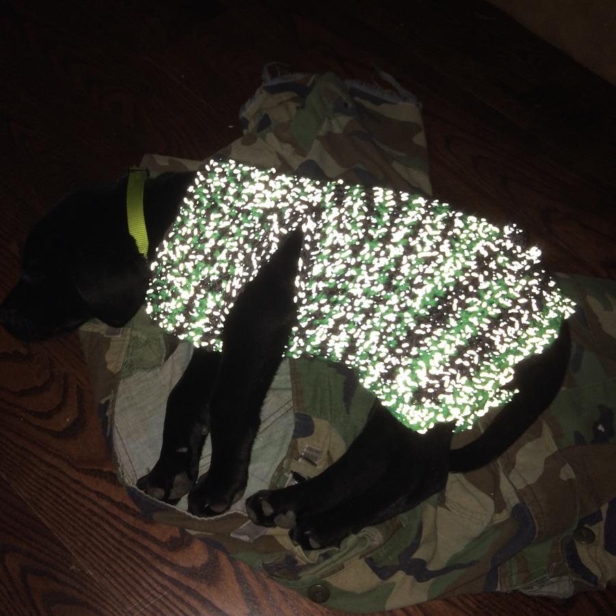 Doggy Sweater for Loretta