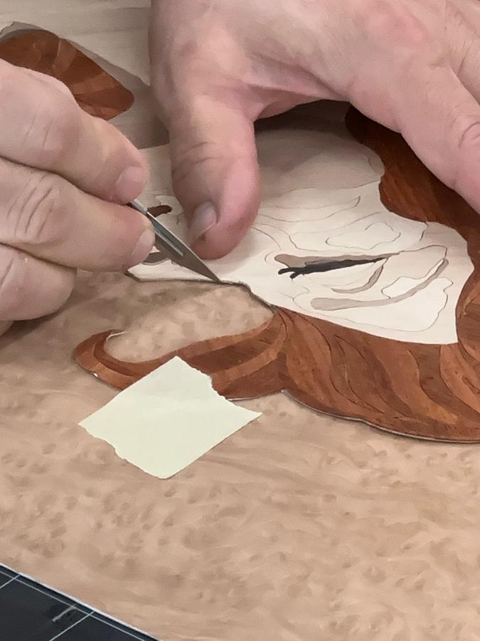 Door Marquetry