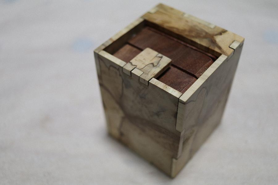 “Communication Box” Packing Puzzle.