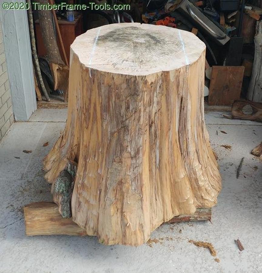 Cypress Stump Table; French Polish style