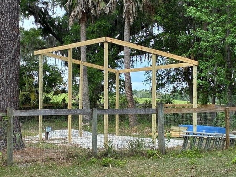 Cowgirl pool screen pergola 