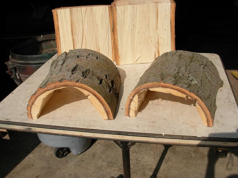 Turtle Tunnels