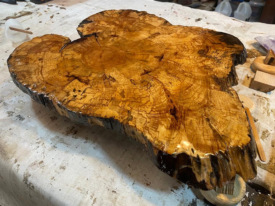 Spalted Elm Center Piece