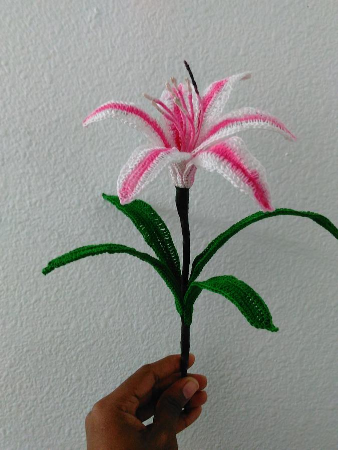 Free Crinum Lily Pattern (Milk and Wine)