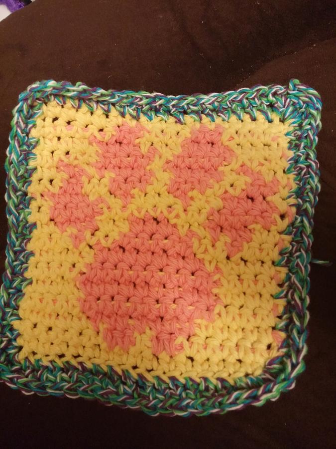 paw print dish cloth