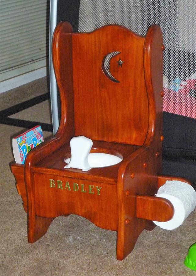 Great Nephews Potty Chair