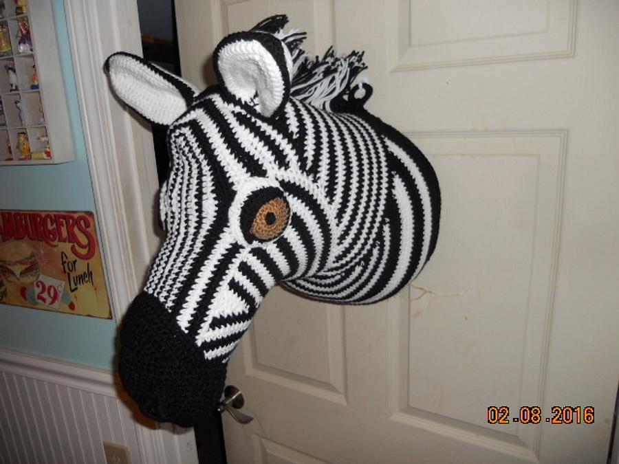 Zebra head