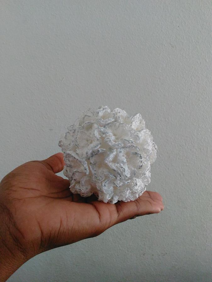 Japanese Snowball Viburnum Flower Ornament