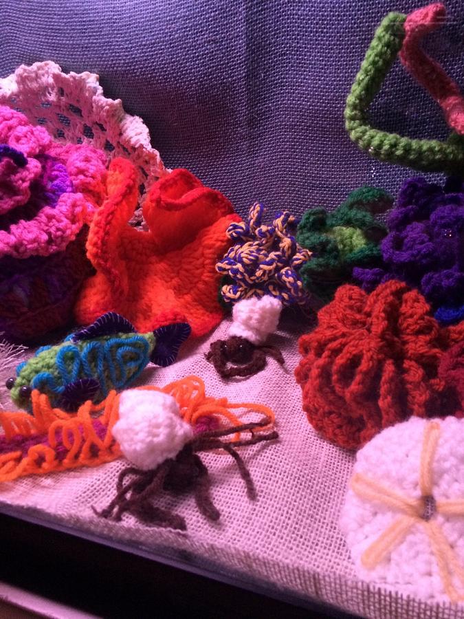 My crocheted aquarium