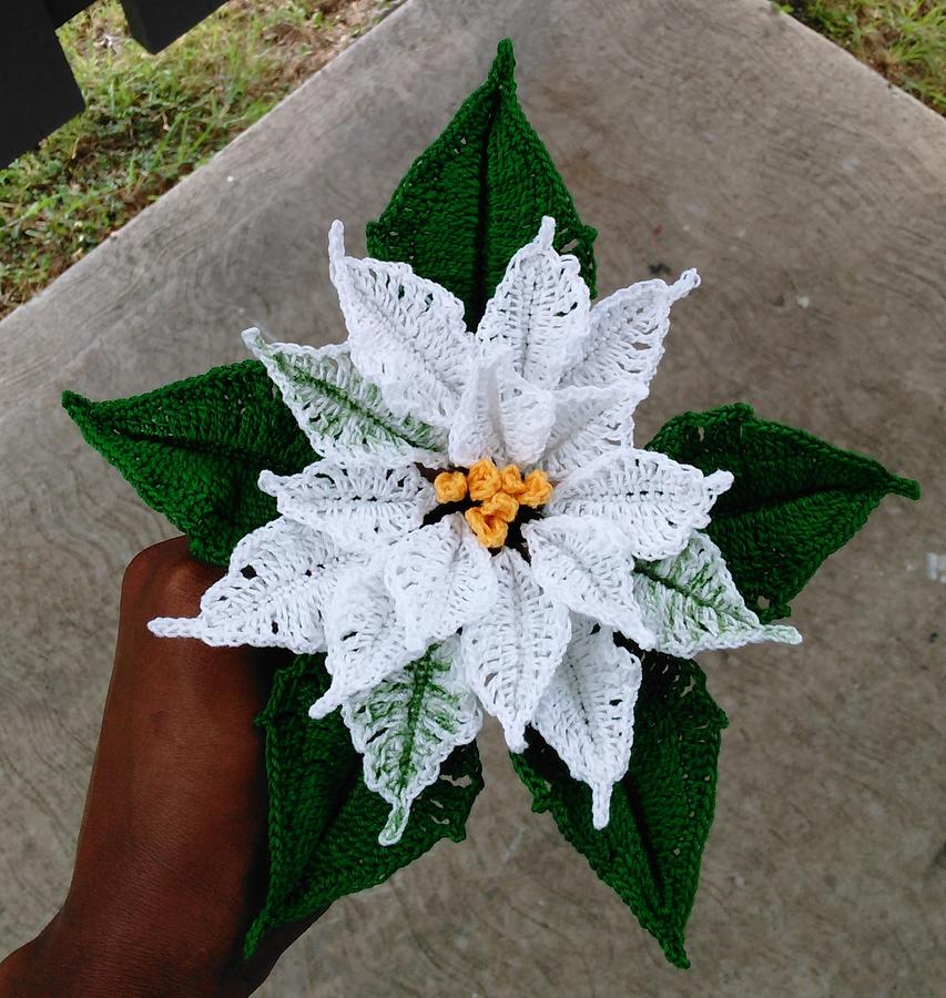 Crochet Poinsettias