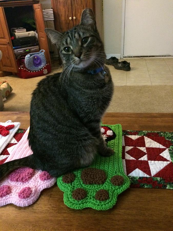 Cat Paw Stockings