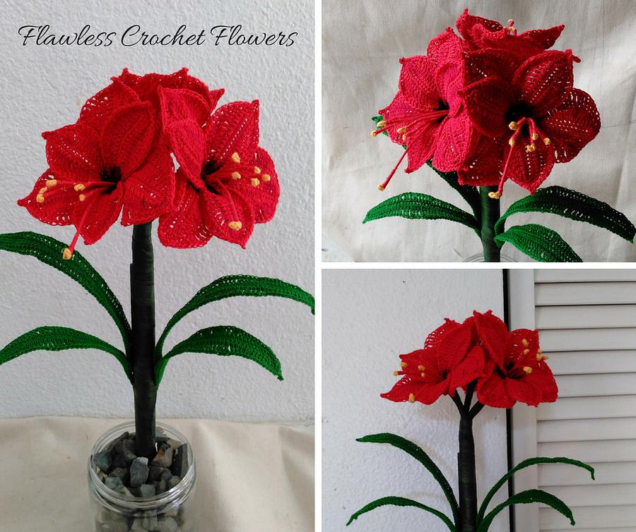 Amaryllis Flower Pattern