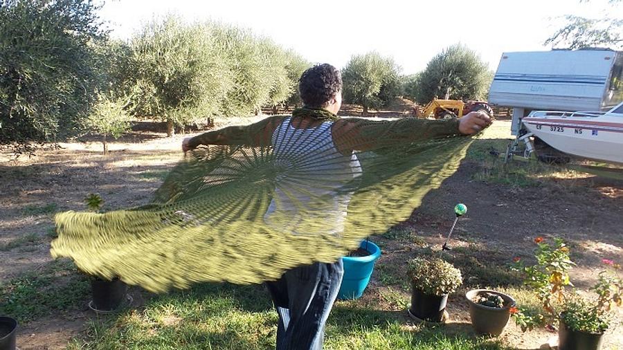 Mossy Green Shawl