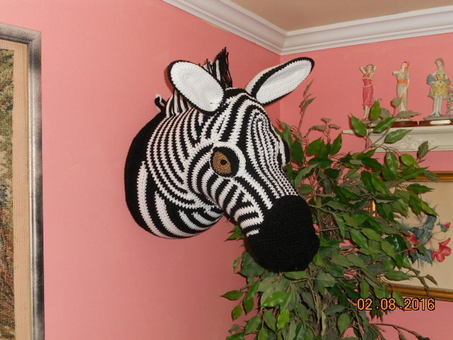 Zebra head