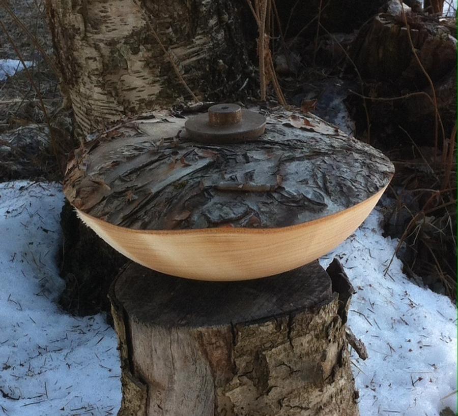 Natural edge birch burl bowl