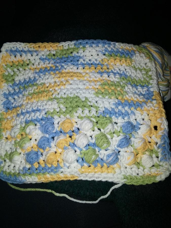 set of 2 scrubbies and a dishcloth