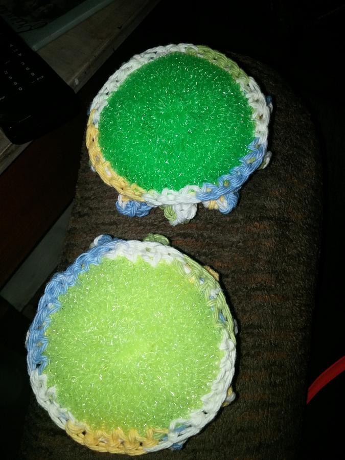 set of 2 scrubbies and a dishcloth