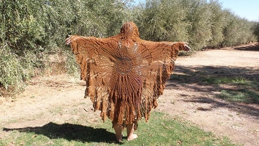 Cinnamon Butterfly/Burgundy Butterfly Shawls