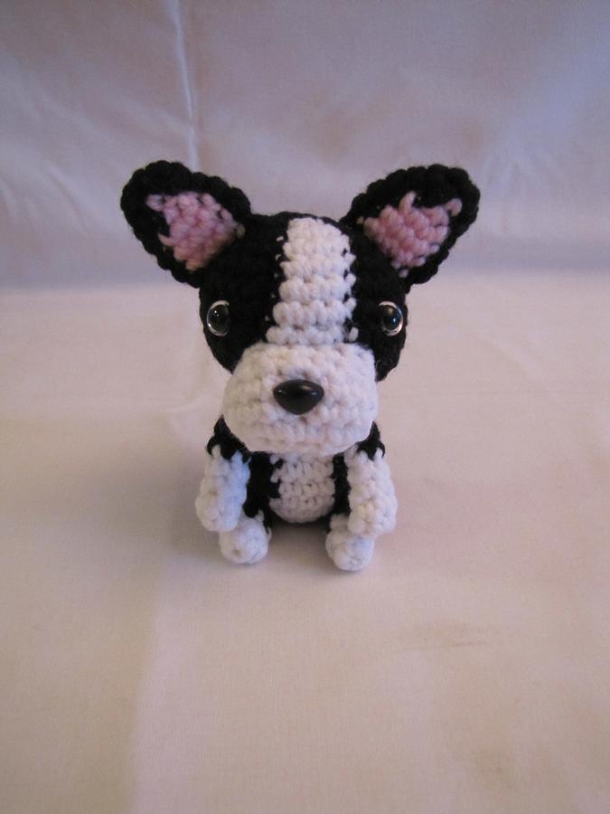 BOSTON TERRIER