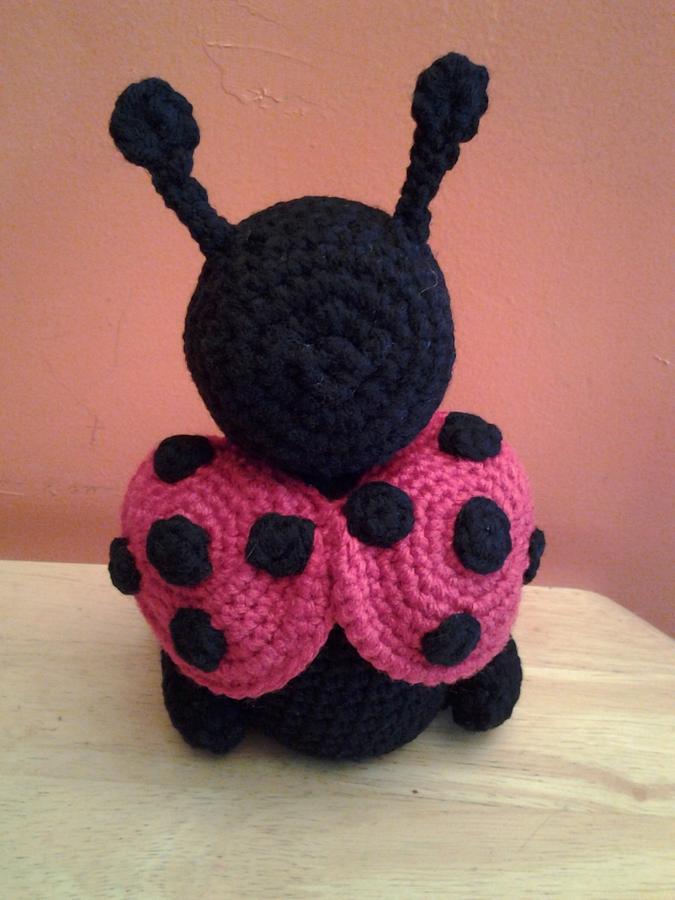 Leon the Ladybug