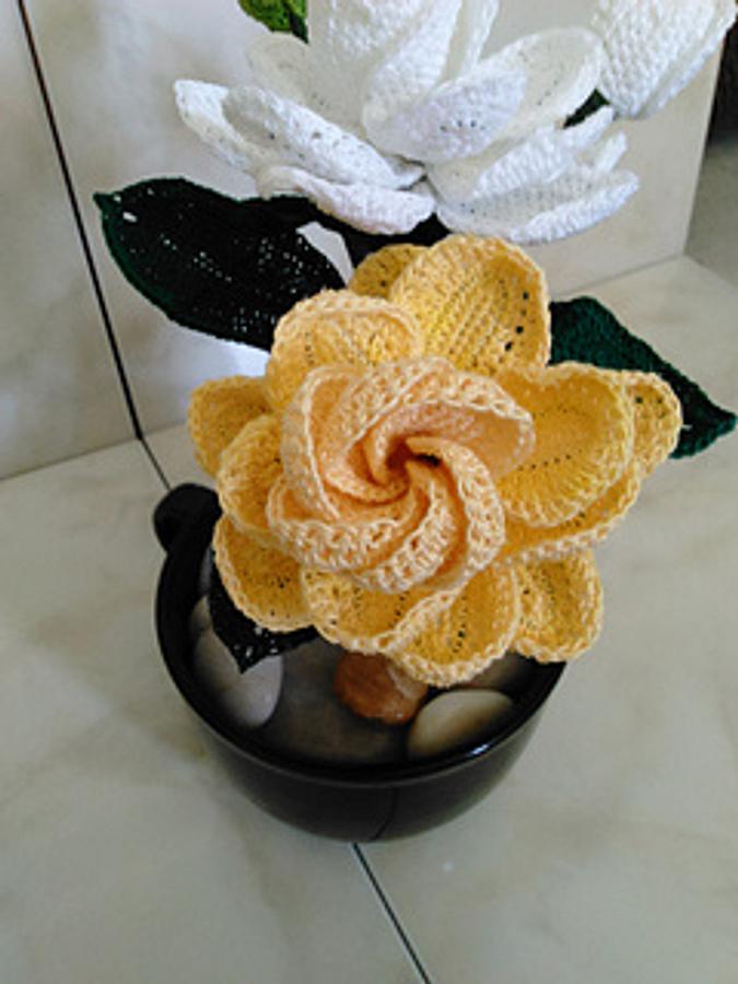 Golden Magic Gardenia 