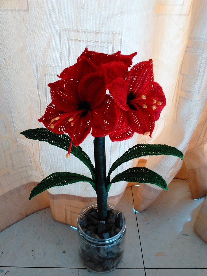 Amaryllis Flower Pattern