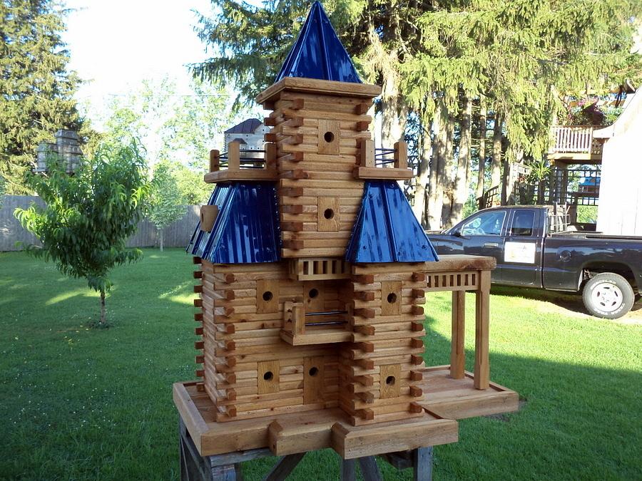 Extreme Birdhouses 