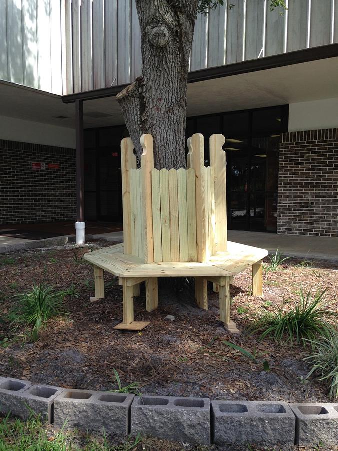Tree bench