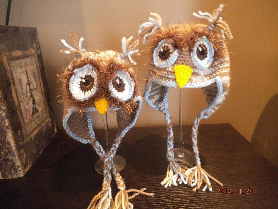 Curious Owls