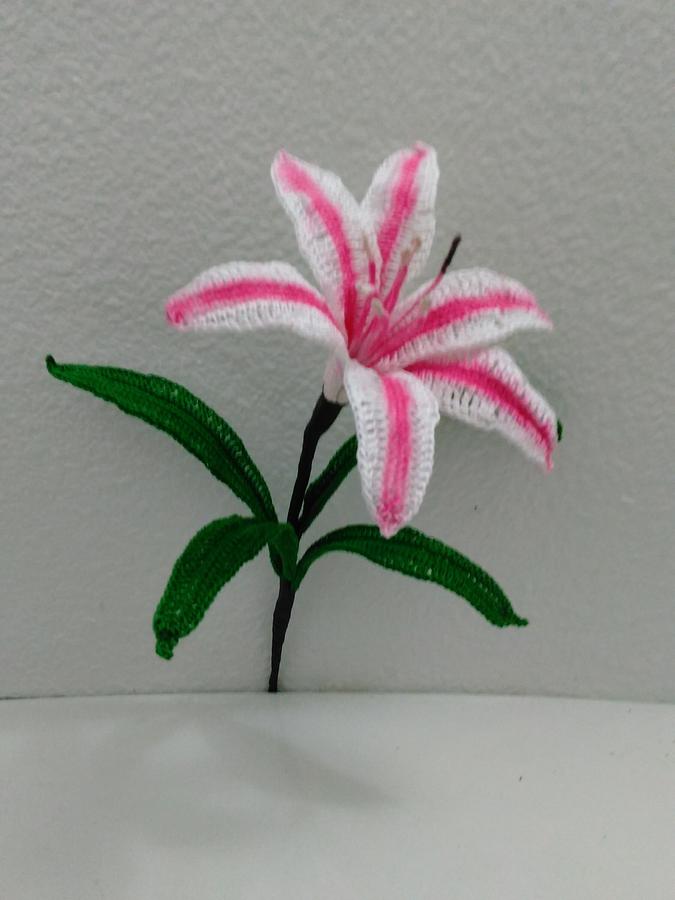 Free Crinum Lily Pattern (Milk and Wine)